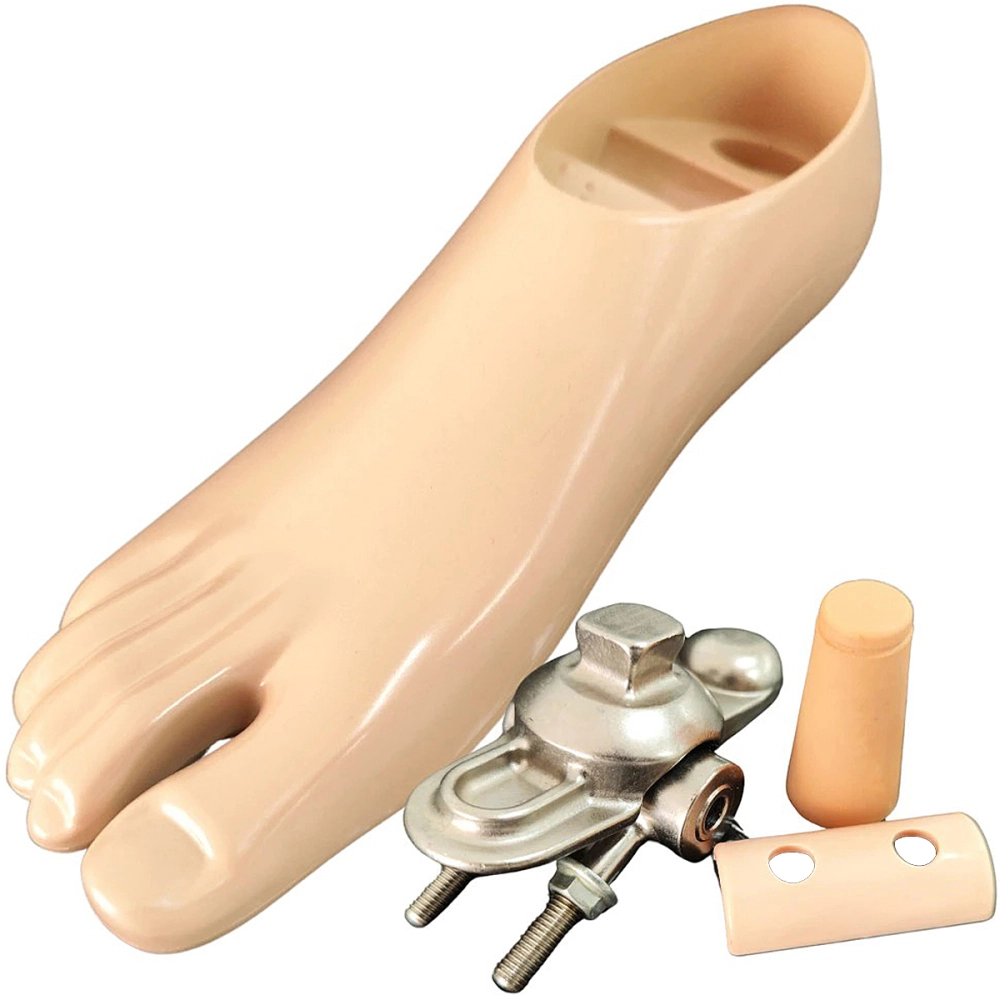 Pé Sach Articulado Para Prótese De Perna Transtibial E Transfemoral Articulação + Adaptador Articulação Universal Para Pé Sach Articulado Prótese Modular DKPC06G Dilepé