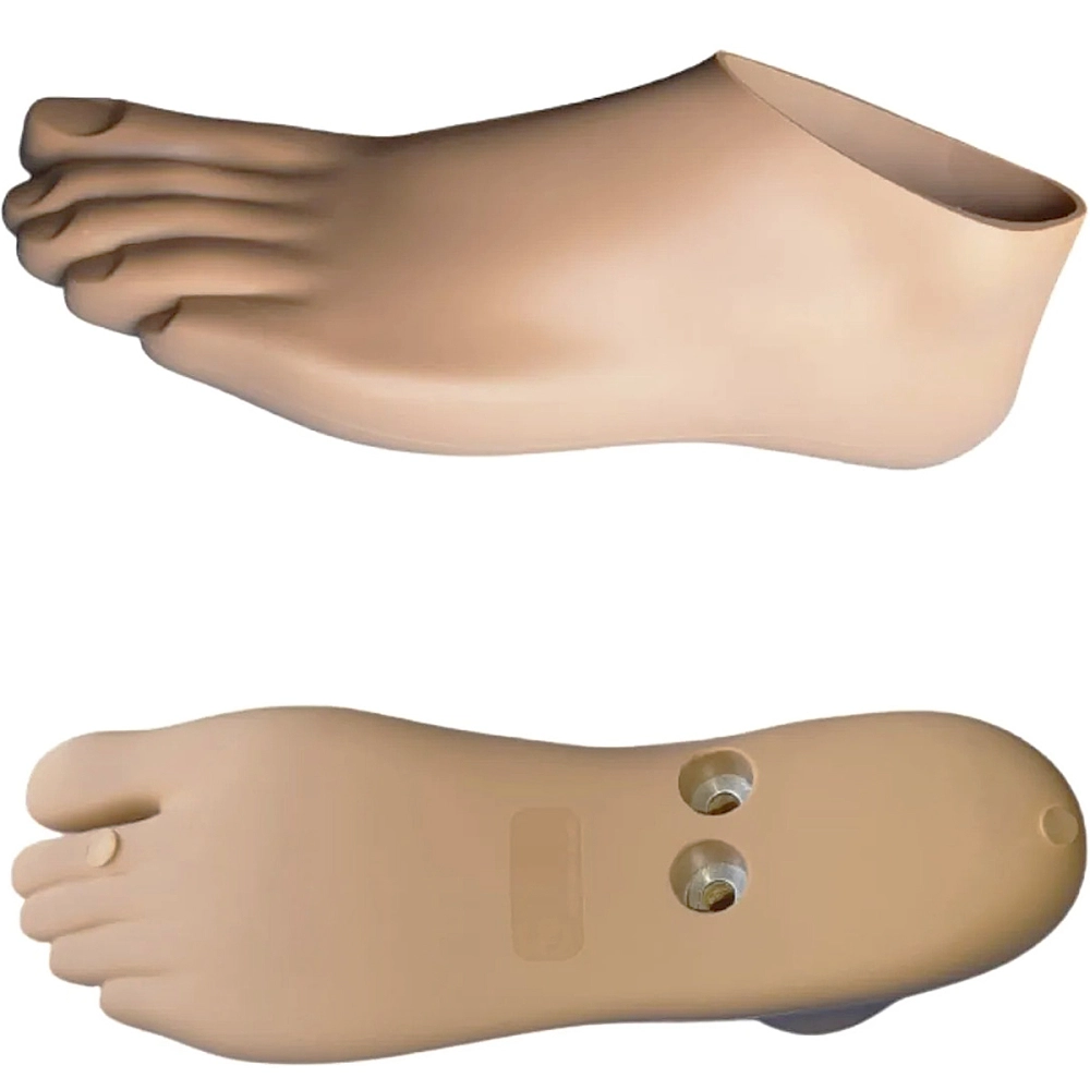 Pé Sach Articulado Para Prótese De Perna Transtibial E Transfemoral Articulação + Adaptador Articulação Universal Para Pé Sach Articulado Prótese Modular DKPC06G Dilepé