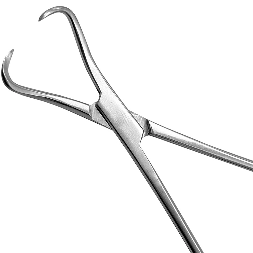 Pinça Backhaus Aço Inoxidável 10 cm Golgran 