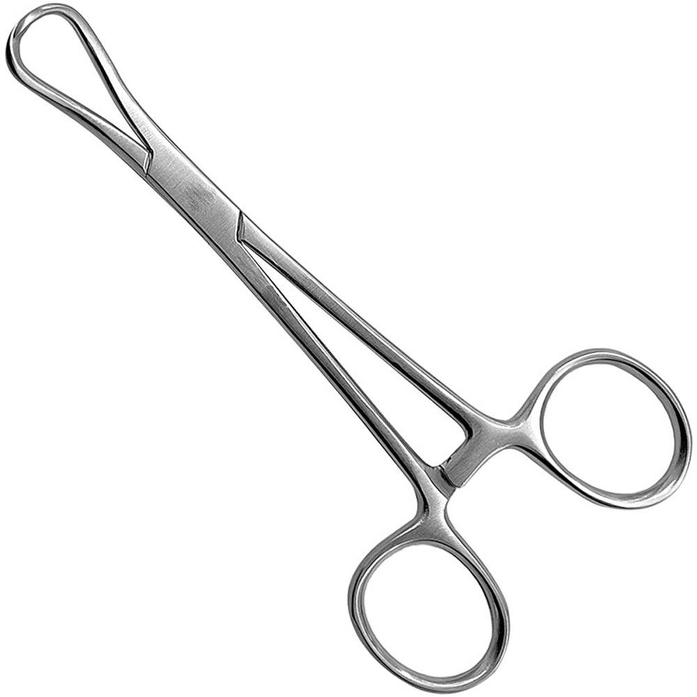 Pinça Backhaus Aço Inoxidável 10 cm Golgran 
